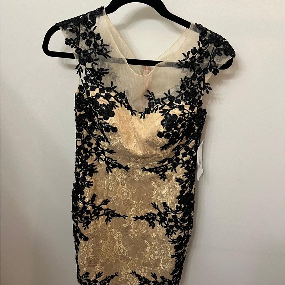 Elegant Black and Cream Lace Dress